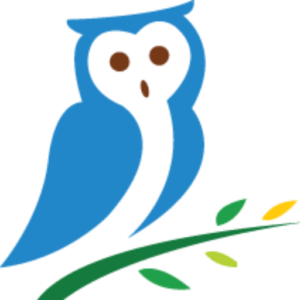 ReleaseOwl favicon