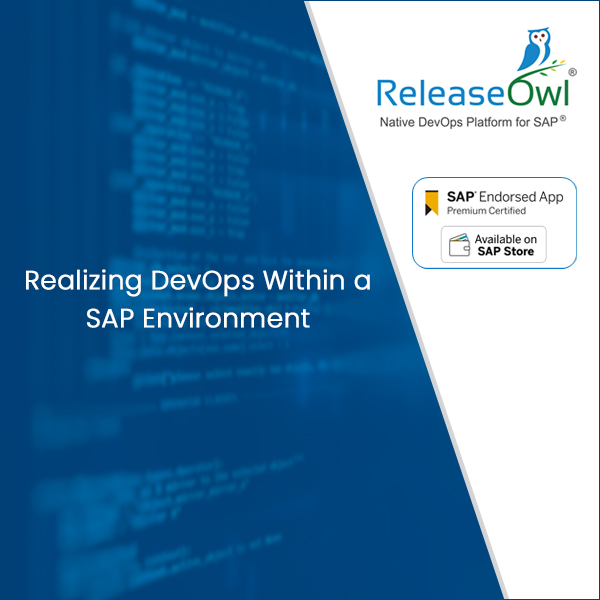 Realizing DevOps Within a SAP Environment