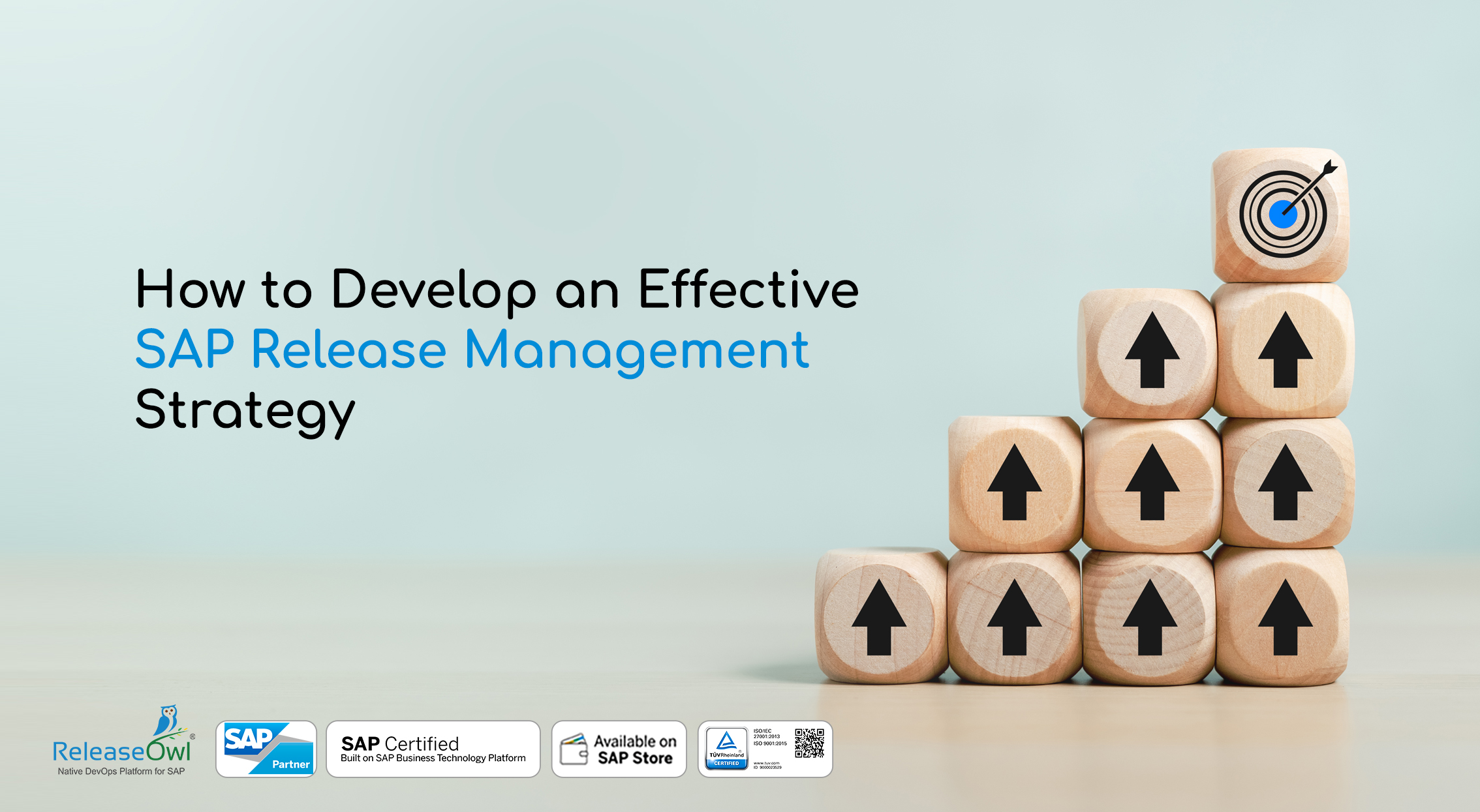 SAP Release Management