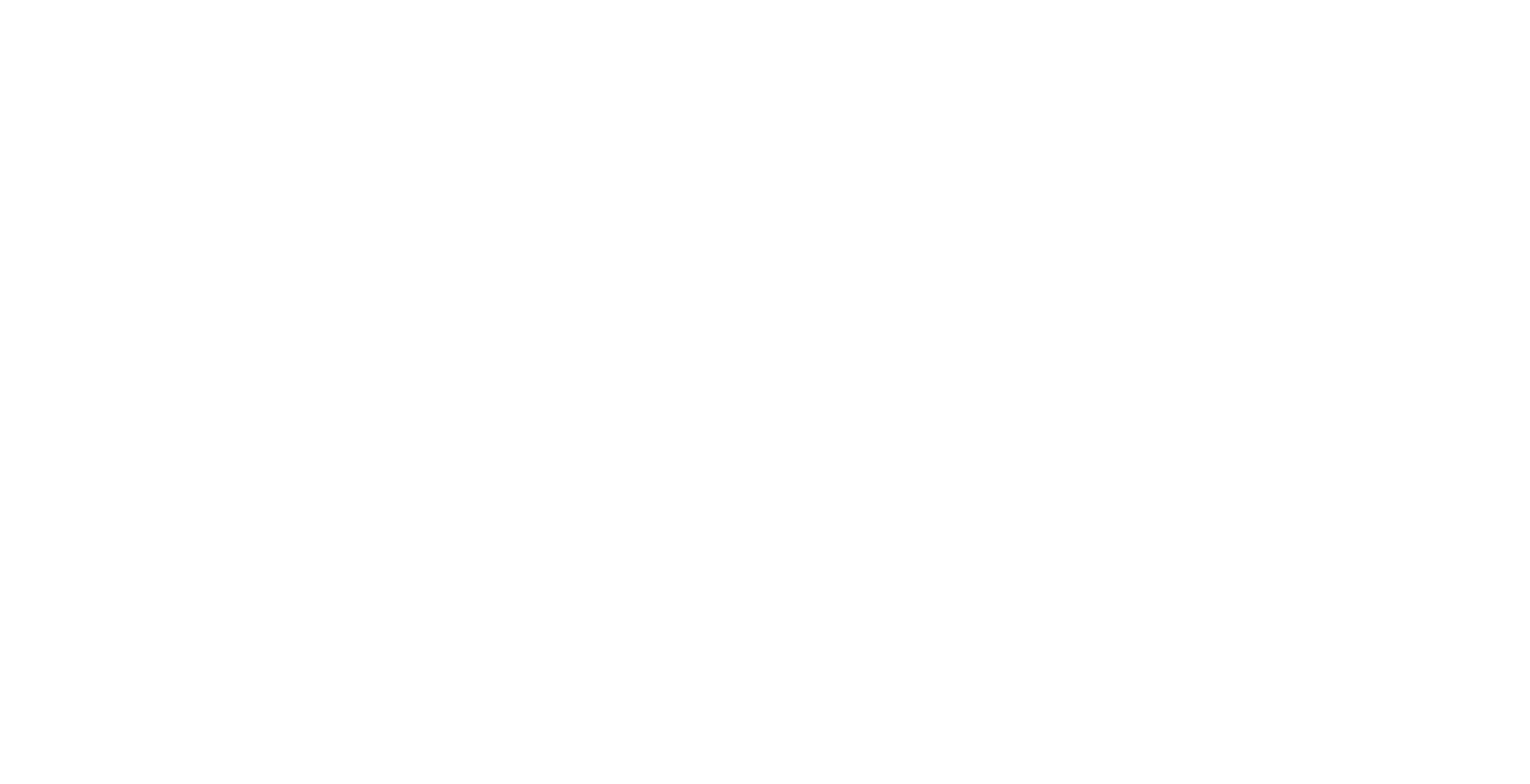 ReleaseOwl Logo White