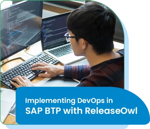 SAP BTP with ReleaseOwl